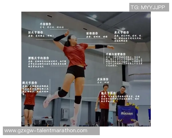 上海排球队的比赛经验分享与成长之路探讨